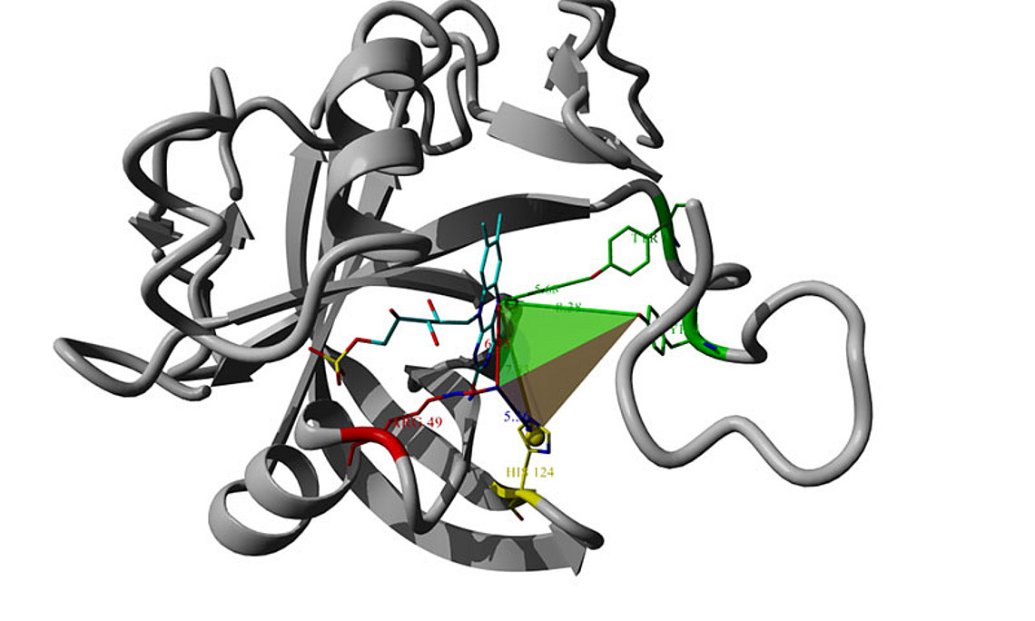 Schematische Darstellung der Struktur eines Old-Yellow-Enzyms: Das Suchtemplate „Catalophor“ ist als Tetraeder dargestellt. Bilder: Georg Steinkellner