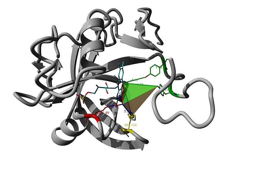 Schematische Darstellung der Struktur eines Old-Yellow-Enzyms: Das Suchtemplate „Catalophor“ ist als Tetraeder dargestellt. Bilder: Georg Steinkellner