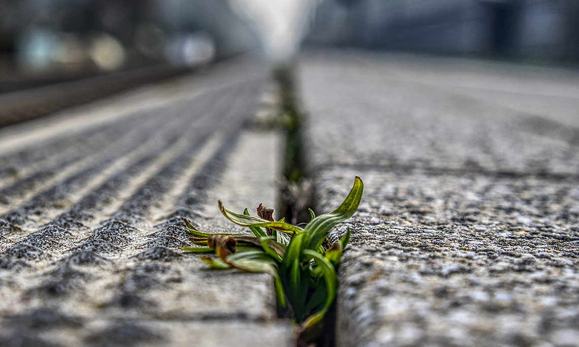 Österreich wird zubetoniert. Foto: Markus Distelrath - Pixabay
