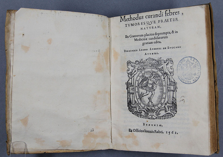 Methodus curandi