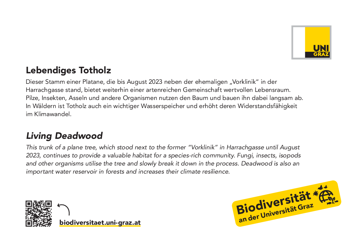 Biodiversität 