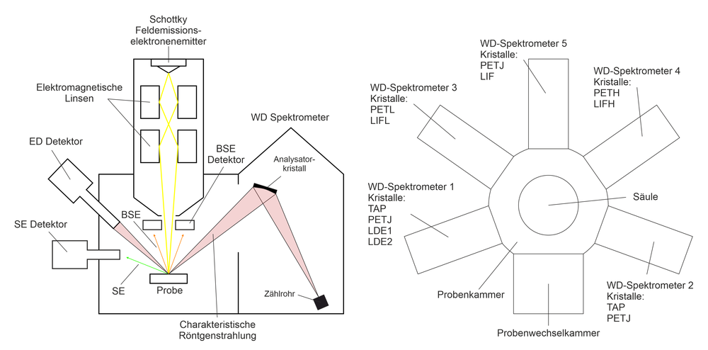 Schematic structure and mode of operation of the field emission microprobe. ©Daniel Brunner / Universität Graz, nach einer Abbildung aus dem JEOL Benutzerhandbuch