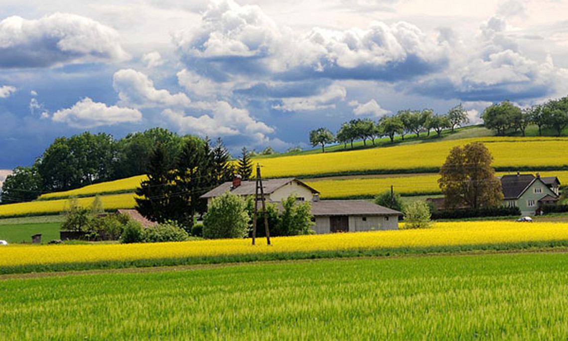 Mehrere Arbeitsgruppen der Uni Graz nutzen die WegenerNet-Region als „Forschungslabor“. Foto: pixabay