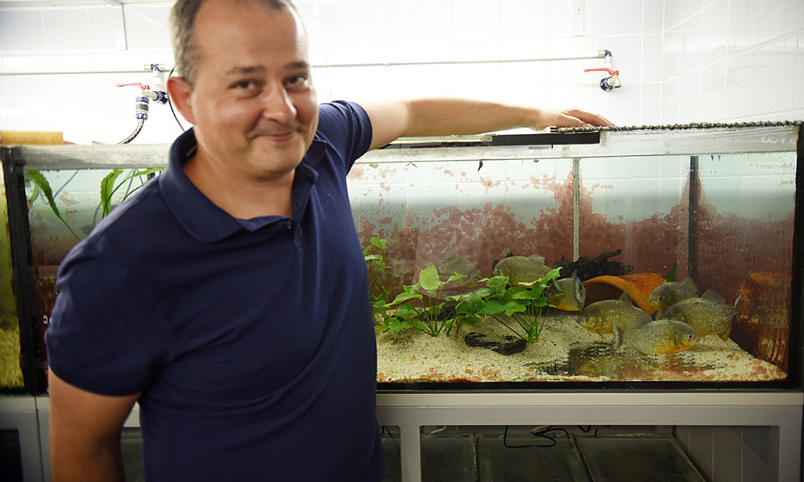 Neurobiologe Boris Chagnaud forscht mit kommunikativen Piranhas. Foto: Uni Graz/Schweiger 