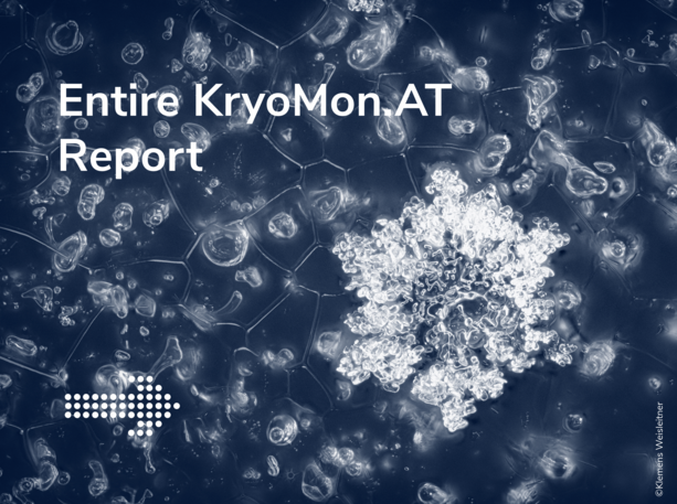 Full report 