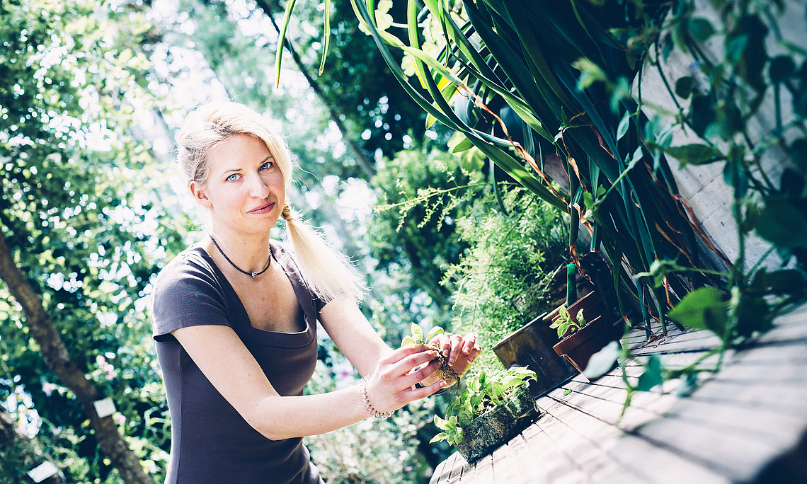 Das Freiland-Labor im Botanischen Garten der Uni Graz vermittelt aktuelle Forschung über Pflanzen in leicht verständlichen Kursen. Foto: Uni Graz/Kanizaj