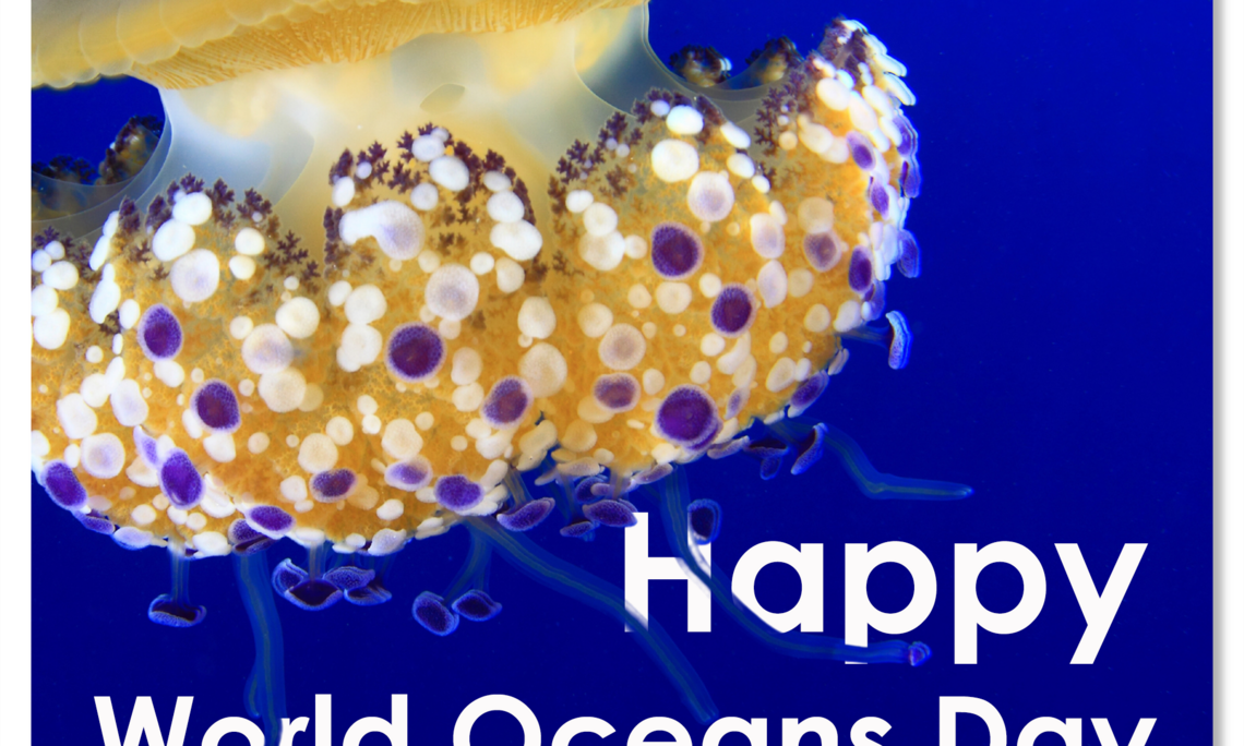 World Oceans Day