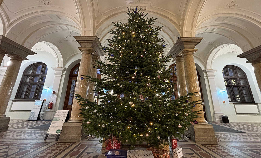 Weihnachtsbaum