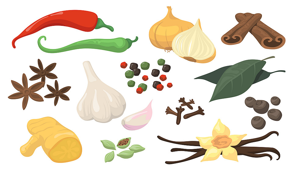 Colorful spicy spices and vegetables flat item set Gewürze für die Studi-Küche: Knoblauch, Zimt etc. Vektorgrafik.