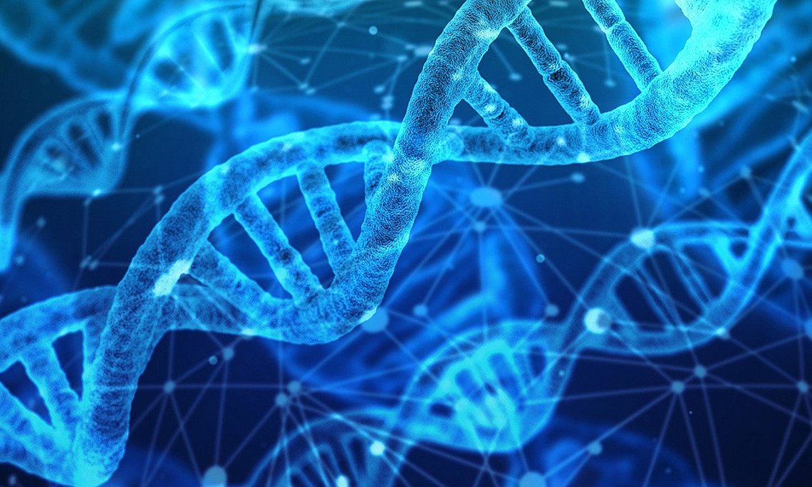 Ein neues Doktoratsprogramm blickt in biomolekulare Vorgänge. Foto: Gerd Altmann – Pixabay