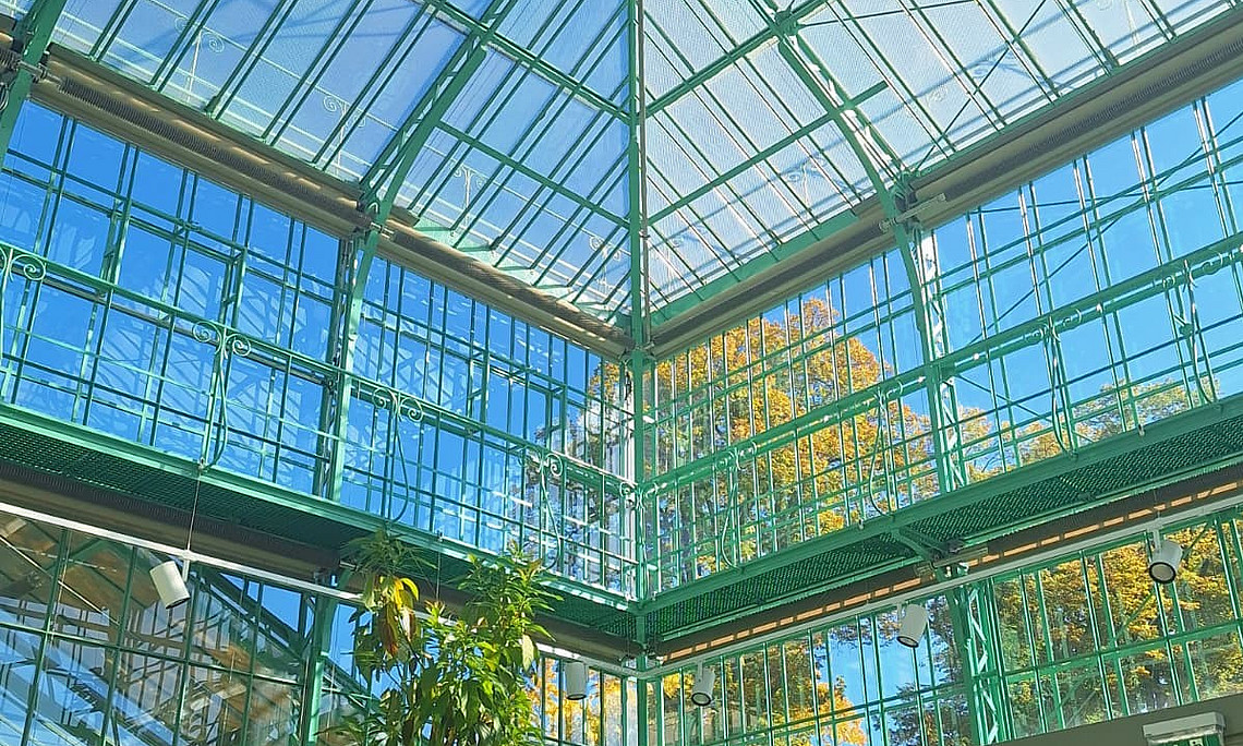 Gewächshaus