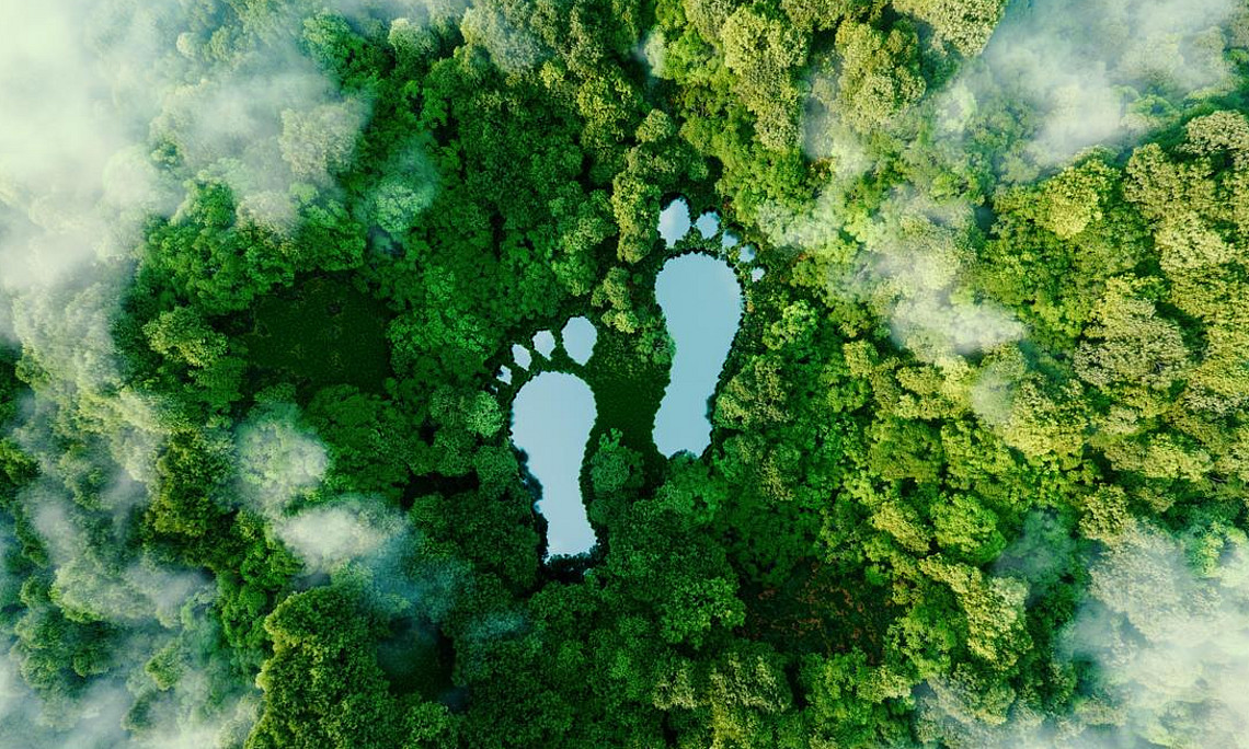 Carbon footprint