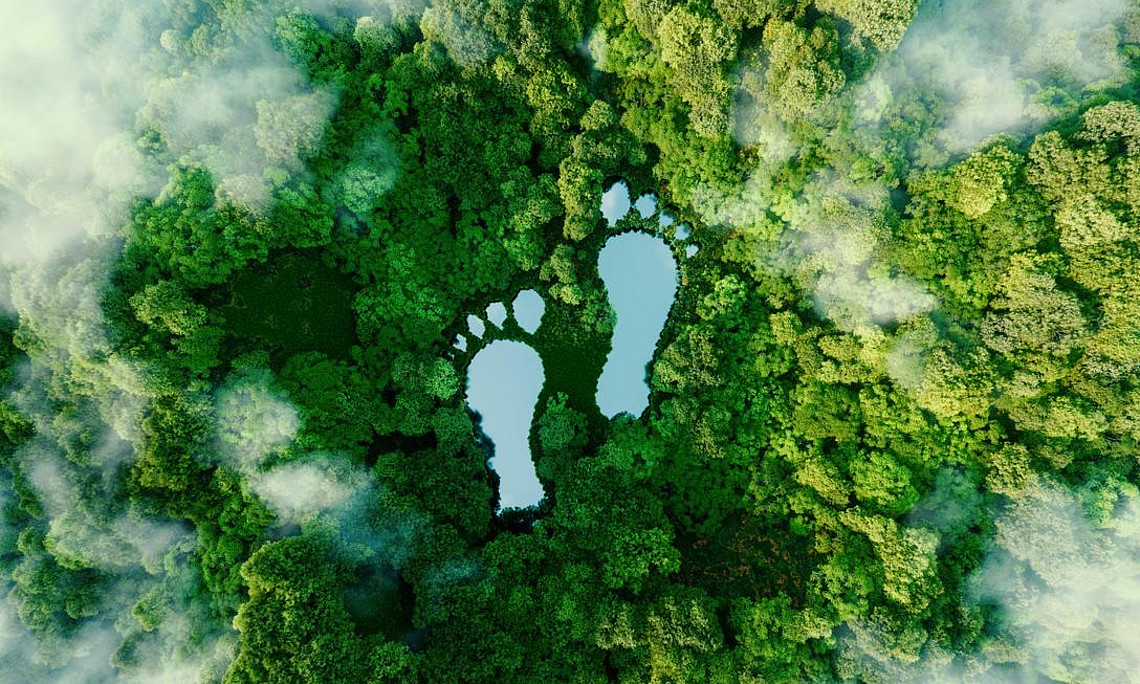 Carbon Footprint