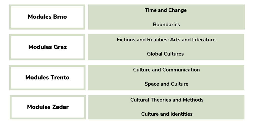 modules and specialisation fields of the International Graduate Study Programme in Cultural Sociology ©By International Relations Office/Uni Graz @Canva