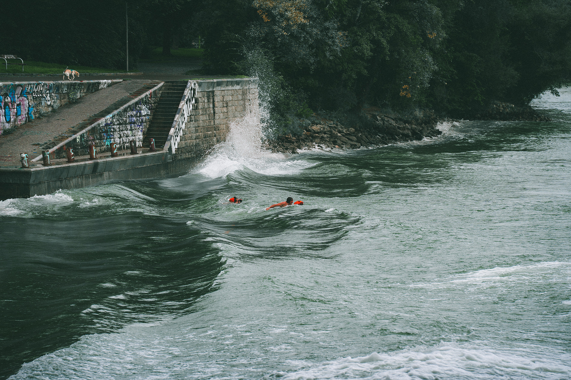 Two swimmers in a fast-moving river near a concrete embankment, with waves breaking and graffiti-covered walls in the background. ©Manuel Madaini