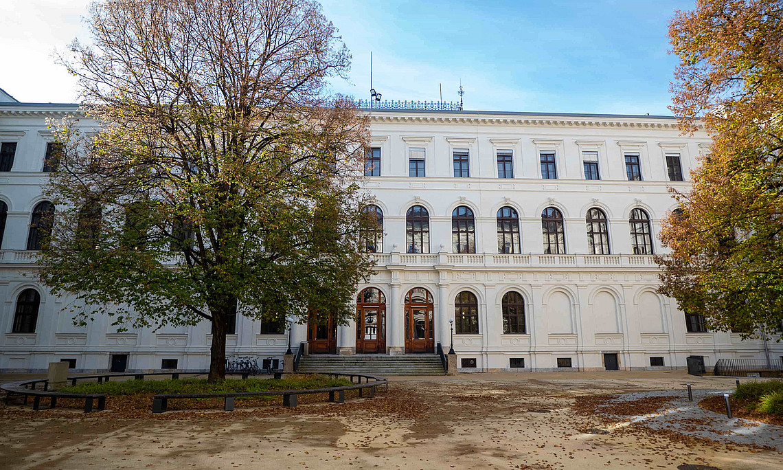 Prof. Grünwald