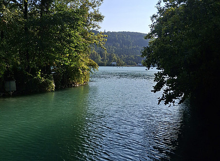 Wörthersee ©Universität Graz/Andrea Kogler