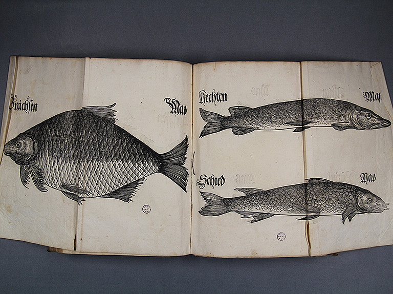 Bairische Lanndtsordnung