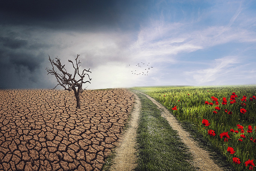 Klimawandel - Foto: pixabay