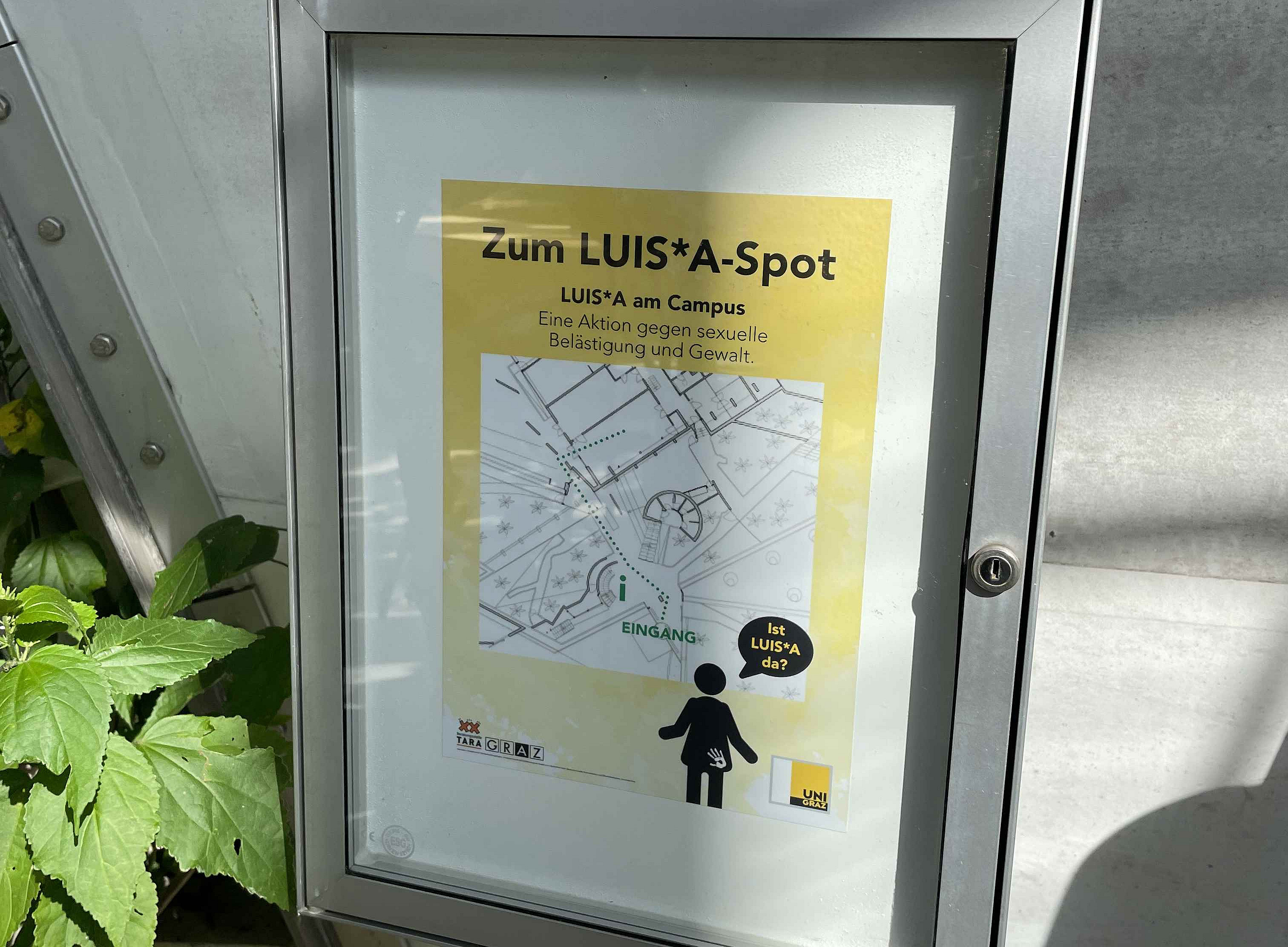 Wegweiser im Botanischen Garten, wie der LUIS*A-Spot gefunden werden kann ©Universität Graz - Klasicka