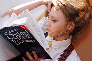 Vor der England-Reise das Wörterbuch auswendig lernen? Effizienter ist ein Intensivkurs bei treffpunkt sprachen. Die Anmeldung läuft ab 2. Dezember. Foto: Pixabay