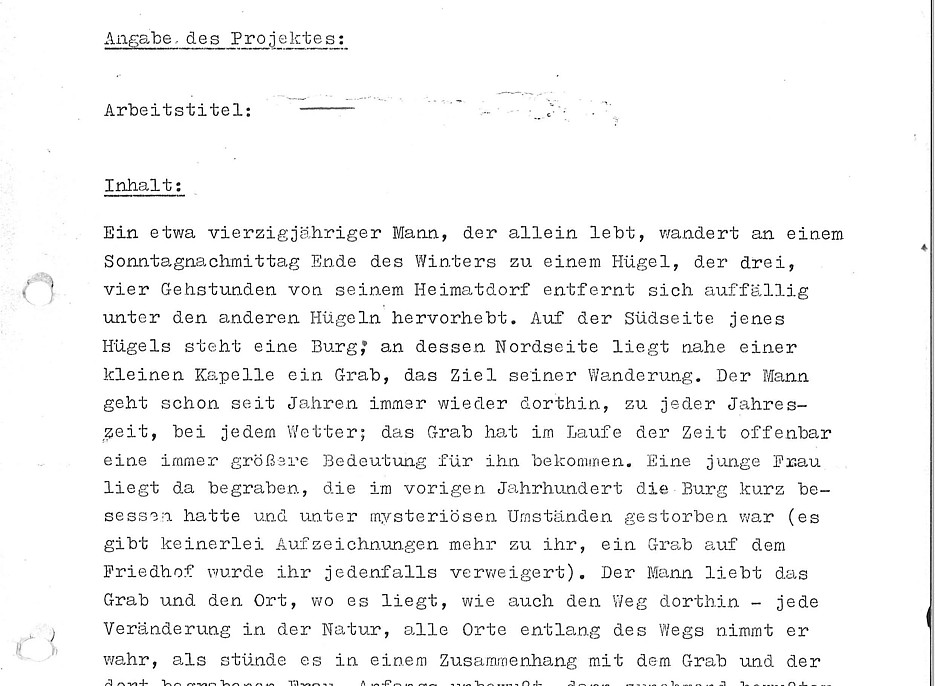 Weinzettel Projektskizze 