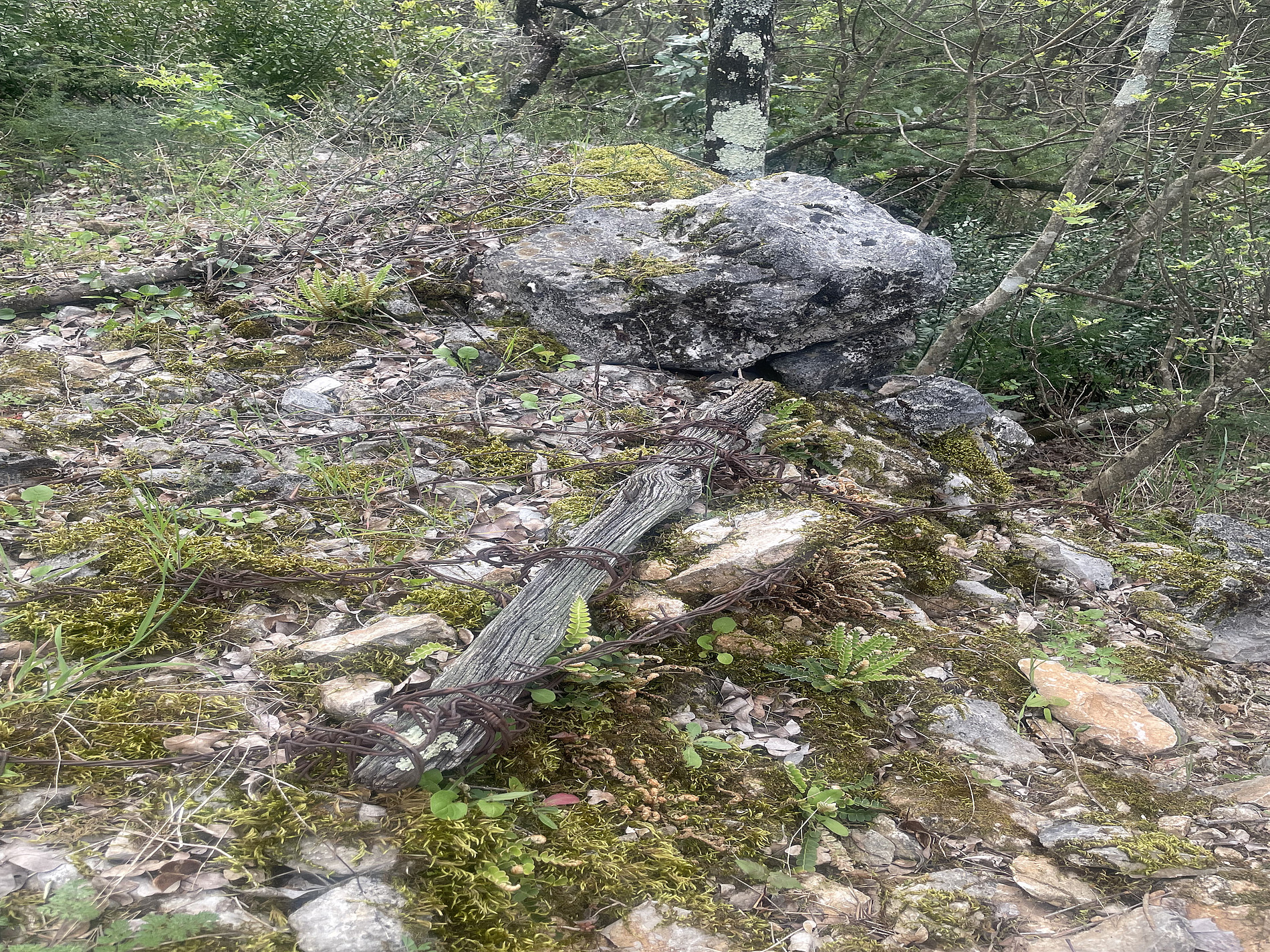 A wire in the karst 