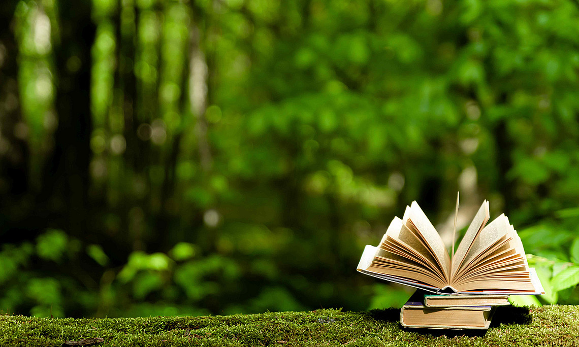 Wald im Vordergrund mit Baumstamm und Buch