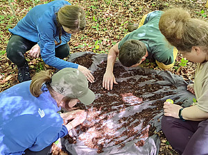 Biologists ©unigraz/tobias_pfingstl