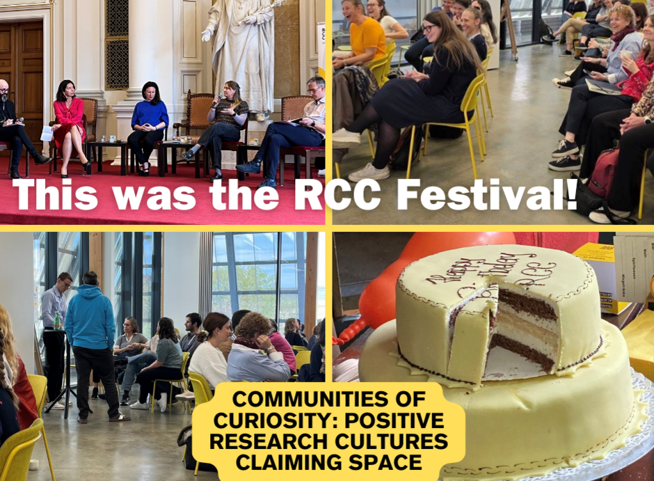 Publikum RCC Festival 2026 