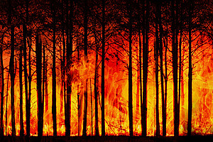 Aerosole von großen Wald- und Buschbränden können bis in die Stratosphäre gelangen und über Monate bis Jahre dort verweilen. Foto: pixabay