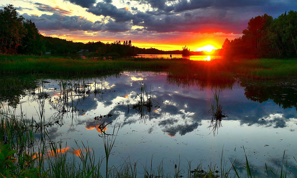 Teich im Wald bei Sonnenuntergang