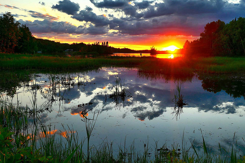 Teich im Wald bei Sonnenuntergang