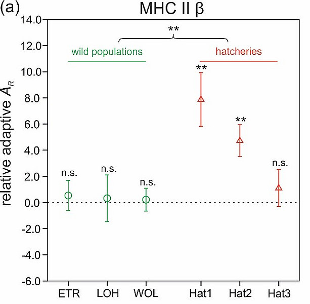 genetic variability MHC 