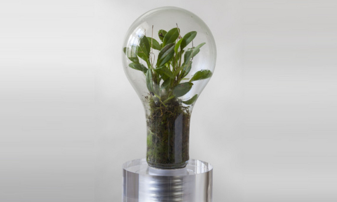 Sustainability Award