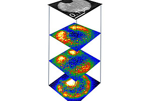 Schwingungsmuster unterschiedlicher so genannter plasmonischer Anregungen einer Silber-Nanoscheibe mit 200 nm Durchmesser.