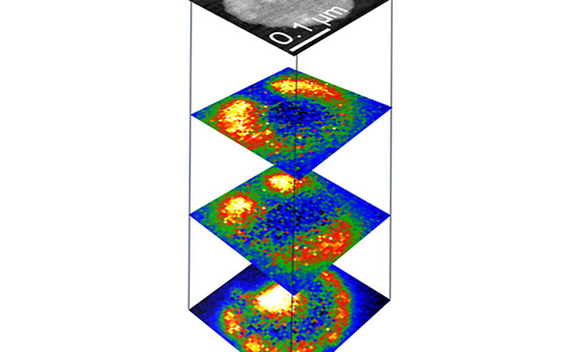 Schwingungsmuster unterschiedlicher so genannter plasmonischer Anregungen einer Silber-Nanoscheibe mit 200 nm Durchmesser.