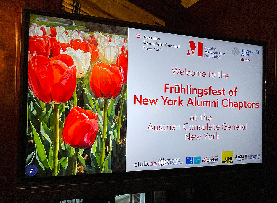 Power Point ©Catherine Vieyra 