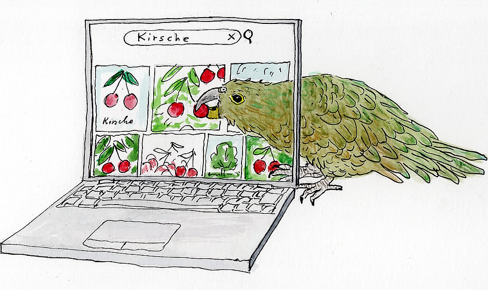 Ein gezeichneter Kea Vogel, der in das Bild des Laptops schlüpft und von einer dort abgebildeten Kirsche nascht. ©Martin Busse