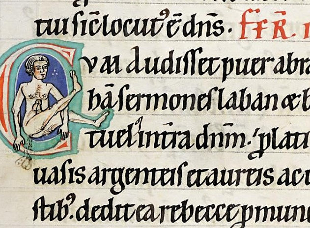 Ms. 56/1 ©Uni Graz/Digitalisierung 229r