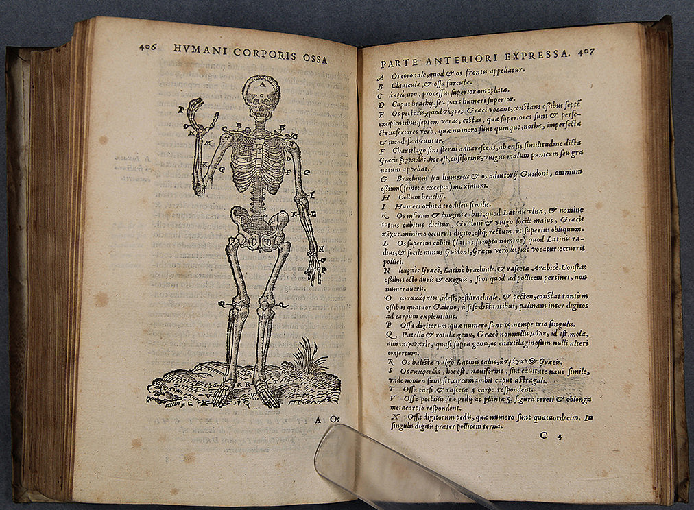 De Chirurgica ©Uni Graz/Restaurierung