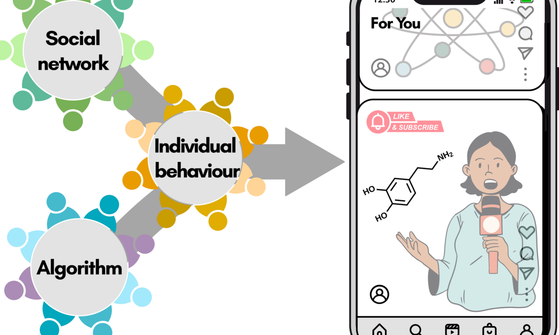 Graphical Abstract des Papers. 
