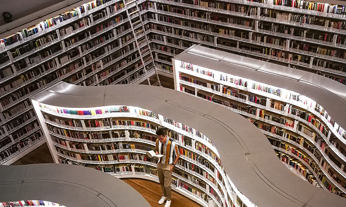 Moderne Bibliothek