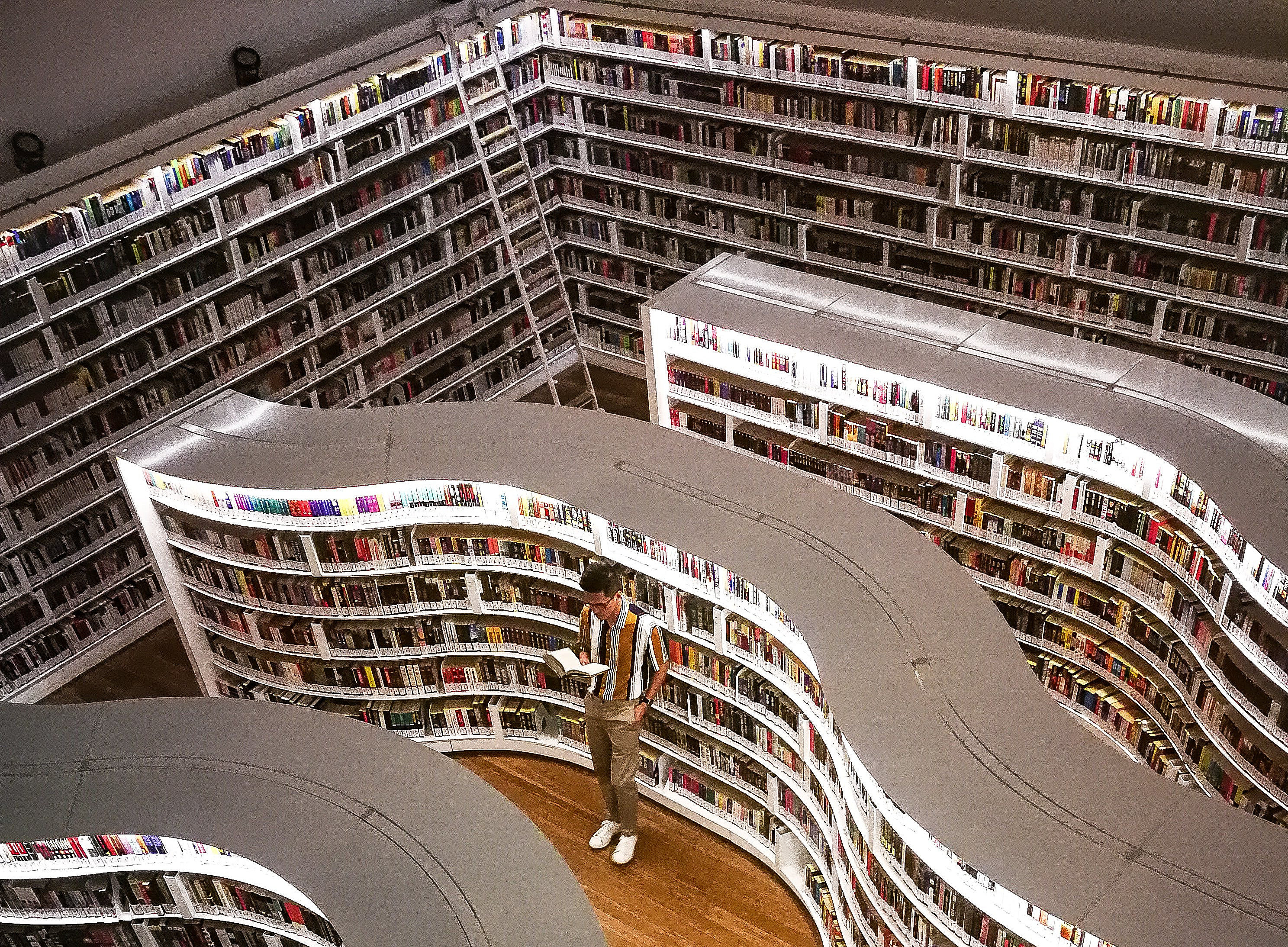 Moderne Bibliothek 