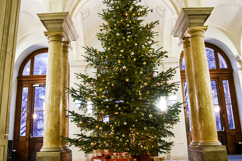 Der Uni Graz-Christbaum 2016: wieder gesponsert von alumni UNI graz. Foto: Uni Graz/Tzivanopoulos