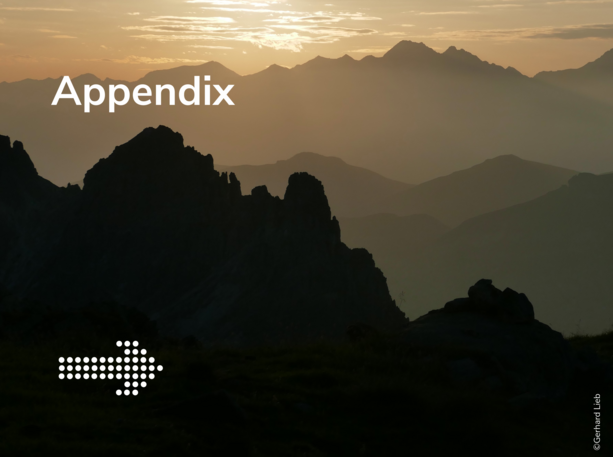 Appendix 