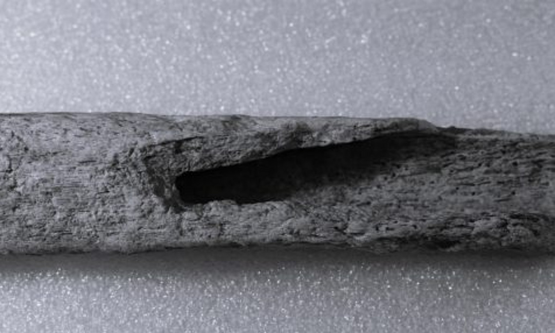 Knochenfragment