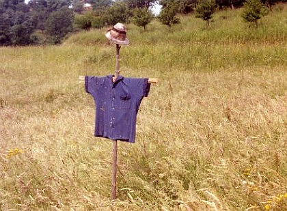 Vogelscheuche, Südsteiermark 