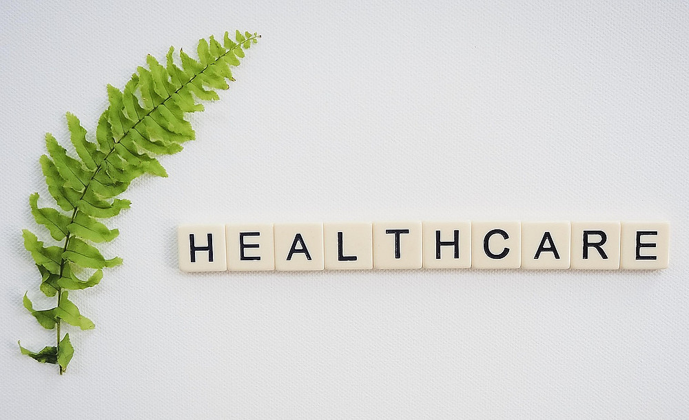 Neben einem grünen Farnblatt steht das Wort "healthcare" 