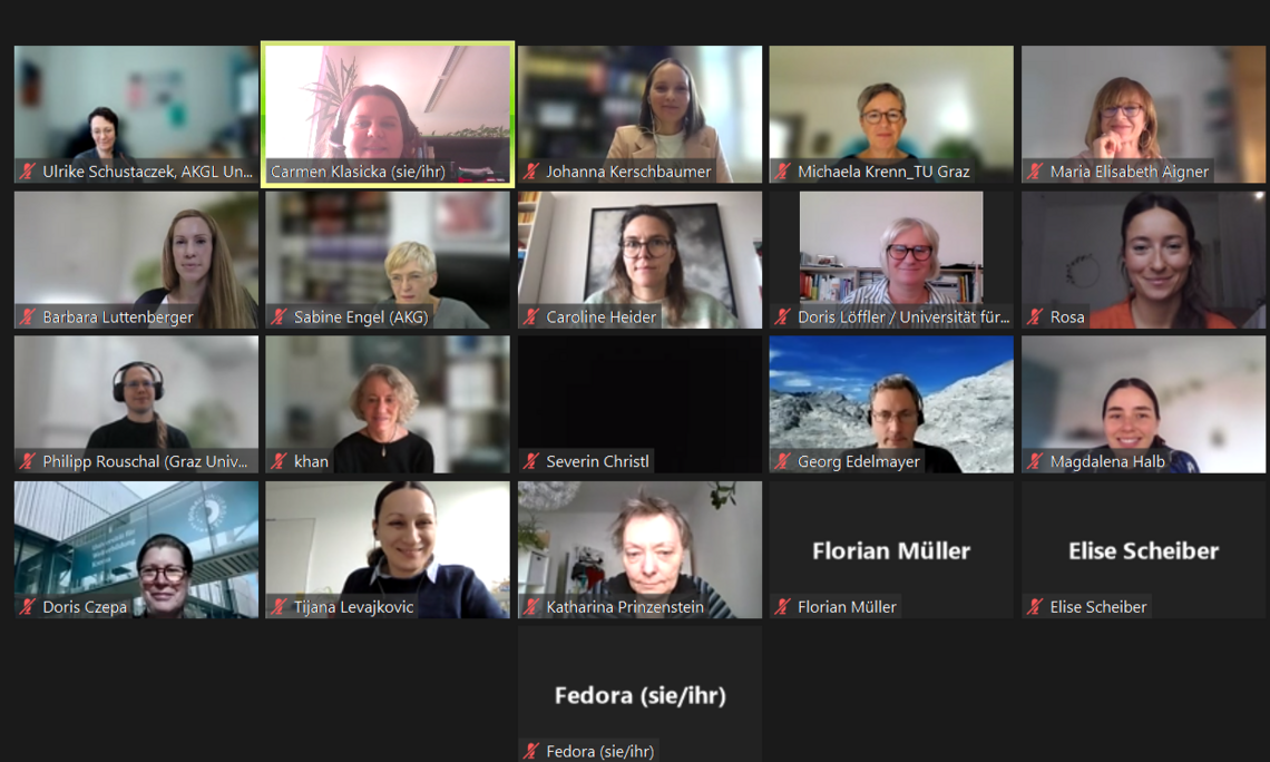Screenshot der Onlineveranstaltung via Zoom mit allen Teilnehmenden, die sich für ein Foto zur Verfügung gestellt haben